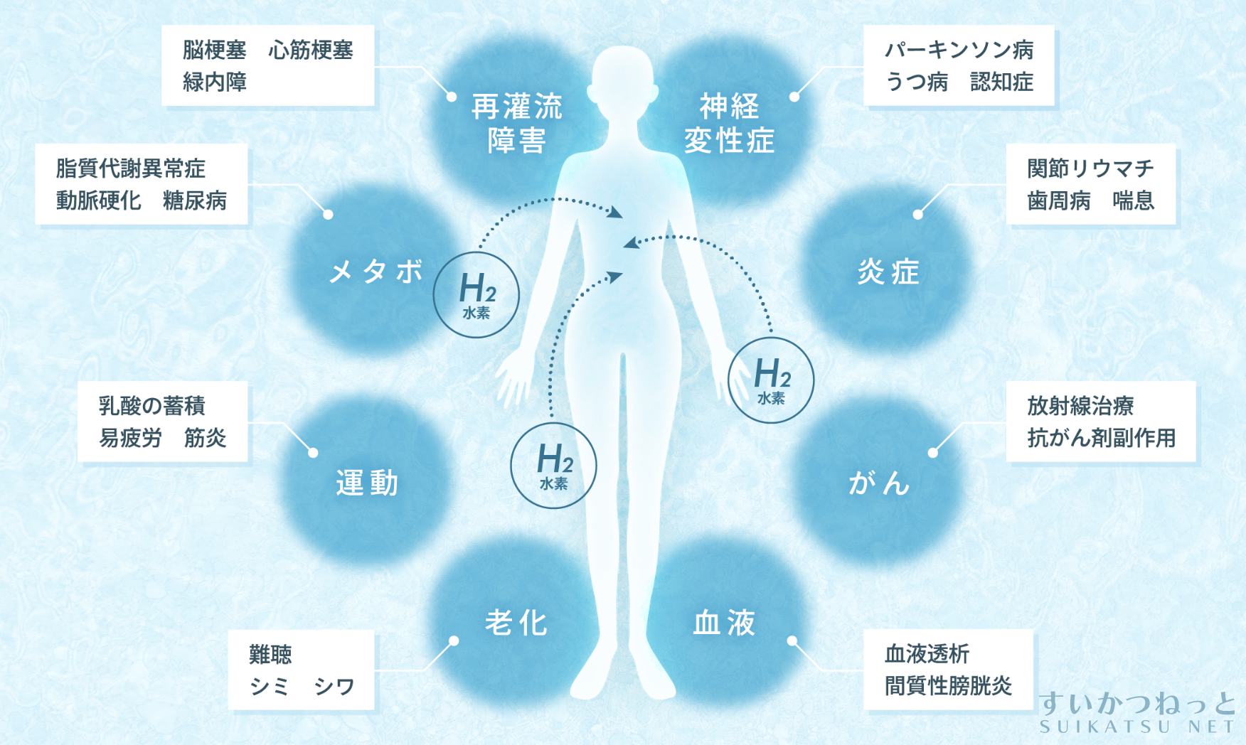 水素吸入の応用はがんや生活習慣病、美容など幅広い分野で研究が進む