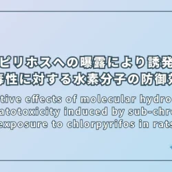 肝毒性に対する水素分子の防御効果