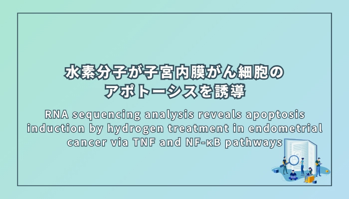 水素分子が子宮内膜がん細胞のアポトーシスを誘導