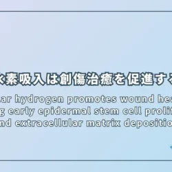 Molecular hydrogen promotes wound healing by inducing early epidermal stem cell proliferation and extracellular matrix deposition（水素分子は表皮幹細胞の早期増殖と細胞外マトリックス沈着を誘導することで創傷治癒を促進する）