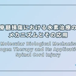 The Molecular Biological Mechanism of Hydrogen Therapy and Its Application in Spinal Cord Injury（脊髄損傷における水素治療の分子生物学的メカニズムとその応用）