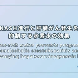 Hydrogen-rich water prevents progression of nonalcoholic steatohepatitis and accompanying hepatocarcinogenesis in mice（非アルコール性脂肪性肝炎の進行とそれに伴う肝臓癌発生を抑制する水素水の効果）