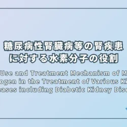 Clinical Use and Treatment Mechanism of Molecular Hydrogen in the Treatment of Various Kidney Diseases including Diabetic Kidney Disease（糖尿病性腎臓病を含む様々な腎疾患の治療における分子状水素の臨床使用と治療メカニズム）