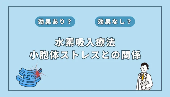 【医師監修】知られざる小胞体ストレスの重要性と水素との関係について解説