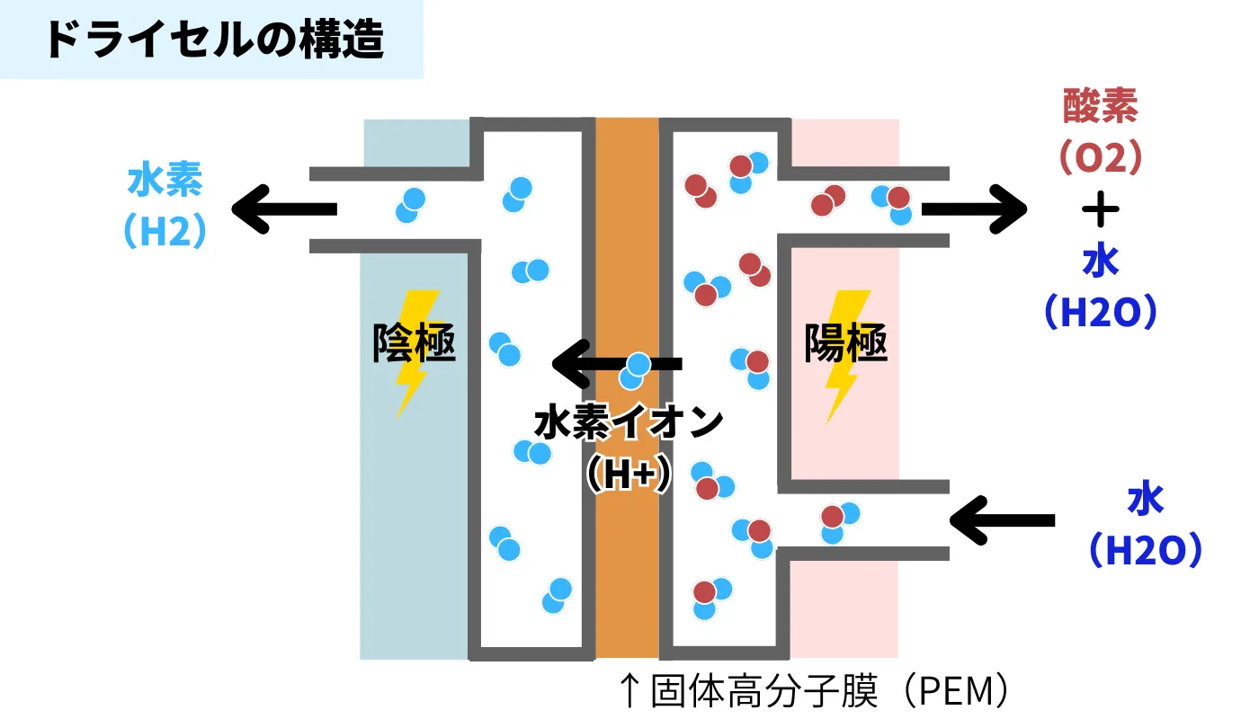 すいかつねっとのインフォグラフィック「電解槽のドライセルの構造」を解説