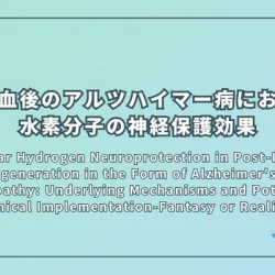 Molecular Hydrogen Neuroprotection in Post-Ischemic Neurodegeneration in the Form of Alzheimer's Disease Proteinopathy: Underlying Mechanisms and Potential for Clinical Implementation-Fantasy or Reality?（脳虚血後のアルツハイマー病における水素分子の神経保護効果：基礎メカニズムと臨床応用の可能性）