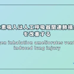 Hydrogen inhalation ameliorates ventilator-induced lung injury（水素吸入は人工呼吸器関連肺損傷を改善する）