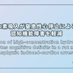 Inhalation of high-concentration hydrogen gas attenuates cognitive deficits in a rat model of asphyxia induced-cardiac arrest（高濃度水素吸入が窒息性心停止モデルラットの認知機能障害を軽減する）