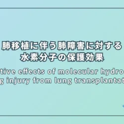 Protective effects of molecular hydrogen on lung injury from lung transplantation（肺移植による肺障害に対する水素分子の保護効果）