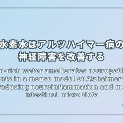 Hydrogen-rich water ameliorates neuropathological impairments in a mouse model of Alzheimer's disease through reducing neuroinflammation and modulating intestinal microbiota（水素水はアルツハイマー病マウスモデルにおいて神経炎症の軽減と腸内細菌叢の調整によって神経病理学的障害を改善する）