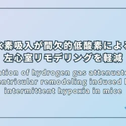 Inhalation of hydrogen gas attenuates left ventricular remodeling induced by intermittent hypoxia in mice（水素ガス吸入が間欠的低酸素による左心室リモデリングを軽減する：マウス実験）