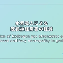 Inhalation of hydrogen gas attenuates ouabain-induced auditory neuropathy in gerbils（水素ガス吸入によるゲッ歯類のウアバイン誘発性聴覚神経障害の軽減）