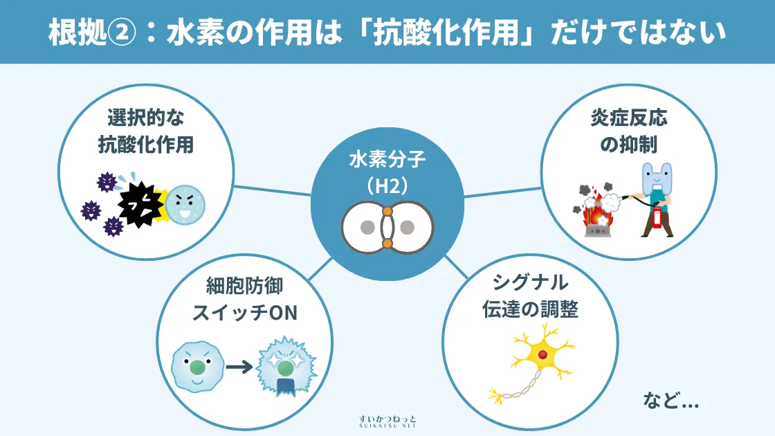 HHOガスではなくH2ガスで良い根拠②:水素が働くメカニズムは「抗酸化作用」だけではない