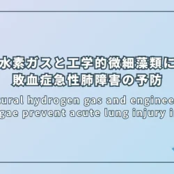Natural hydrogen gas and engineered microalgae prevent acute lung injury in sepsis（天然水素ガスと工学的微細藻類による敗血症急性肺障害の予防）