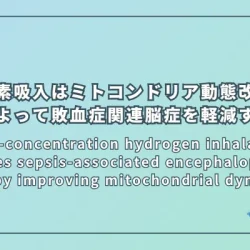High-concentration hydrogen inhalation mitigates sepsis-associated encephalopathy in mice by improving mitochondrial dynamics（高濃度水素吸入はマウスにおけるミトコンドリア動態改善によって敗血症関連脳症を軽減する）