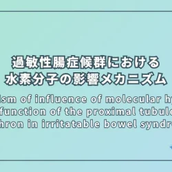 Mechanism of influence of molecular hydrogen on the function of the proximal tubule of the nephron in irritatable bowel syndrome（過敏性腸症候群における分子状水素の近位尿細管機能への影響メカニズム）