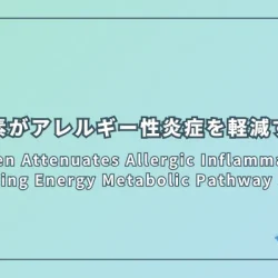 Hydrogen Attenuates Allergic Inflammation by Reversing Energy Metabolic Pathway Switch（水素がエネルギー代謝経路の切り替えを逆転させることでアレルギー性炎症を軽減する）
