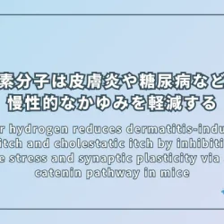 Molecular hydrogen reduces dermatitis-induced itch, diabetic itch and cholestatic itch by inhibiting spinal oxidative stress and synaptic plasticity via SIRT1-β-catenin pathway in mice（水素分子は脊髄でのSIRT1-β-カテニン経路を介した酸化ストレスとシナプス可塑性の抑制により、マウスの皮膚炎、糖尿病、胆汁うっ滞による慢性的なかゆみを軽減する）
