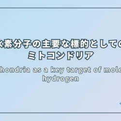 Mitochondria as a key target of molecular hydrogen（分子状水素の主要な標的としてのミトコンドリア）