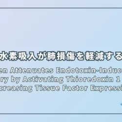 Hydrogen Attenuates Endotoxin-Induced Lung Injury by Activating Thioredoxin 1 and Decreasing Tissue Factor Expression（水素がチオレドキシン1を活性化し組織因子発現を減少させることでエンドトキシン誘発性肺損傷を軽減する）