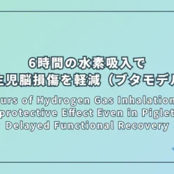 Six Hours of Hydrogen Gas Inhalation Has a Neuroprotective Effect Even in Piglets with Delayed Functional Recovery（6時間の水素吸入は機能回復が遅れた子豚においても神経保護効果を示す）