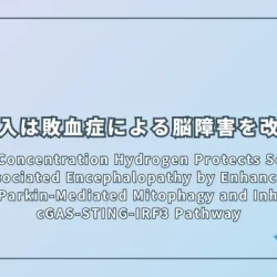 High Concentration Hydrogen Protects Sepsis-Associated Encephalopathy by Enhancing Pink1/Parkin-Mediated Mitophagy and Inhibiting cGAS-STING-IRF3 Pathway（高濃度水素は、ミトファジーを活性化し、炎症反応を抑えることで、敗血症に伴う脳機能障害を改善する）