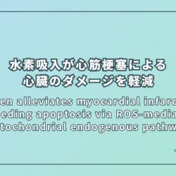 Hydrogen alleviates myocardial infarction by impeding apoptosis via ROS-mediated mitochondrial endogenous pathway（水素は、活性酸素が介在するミトコンドリア経路を介したアポトーシスを妨げることで心筋梗塞を軽減する）