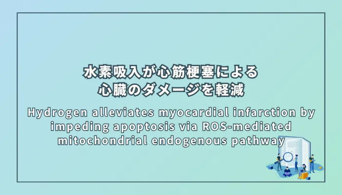 Hydrogen alleviates myocardial infarction by impeding apoptosis via ROS-mediated mitochondrial endogenous pathway（水素は、活性酸素が介在するミトコンドリア経路を介したアポトーシスを妨げることで心筋梗塞を軽減する）