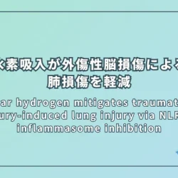 Molecular hydrogen mitigates traumatic brain injury-induced lung injury via NLRP3 inflammasome inhibition（水素分子はNLRP3インフラマソームの阻害を介して、外傷性脳損傷による肺損傷を軽減する）