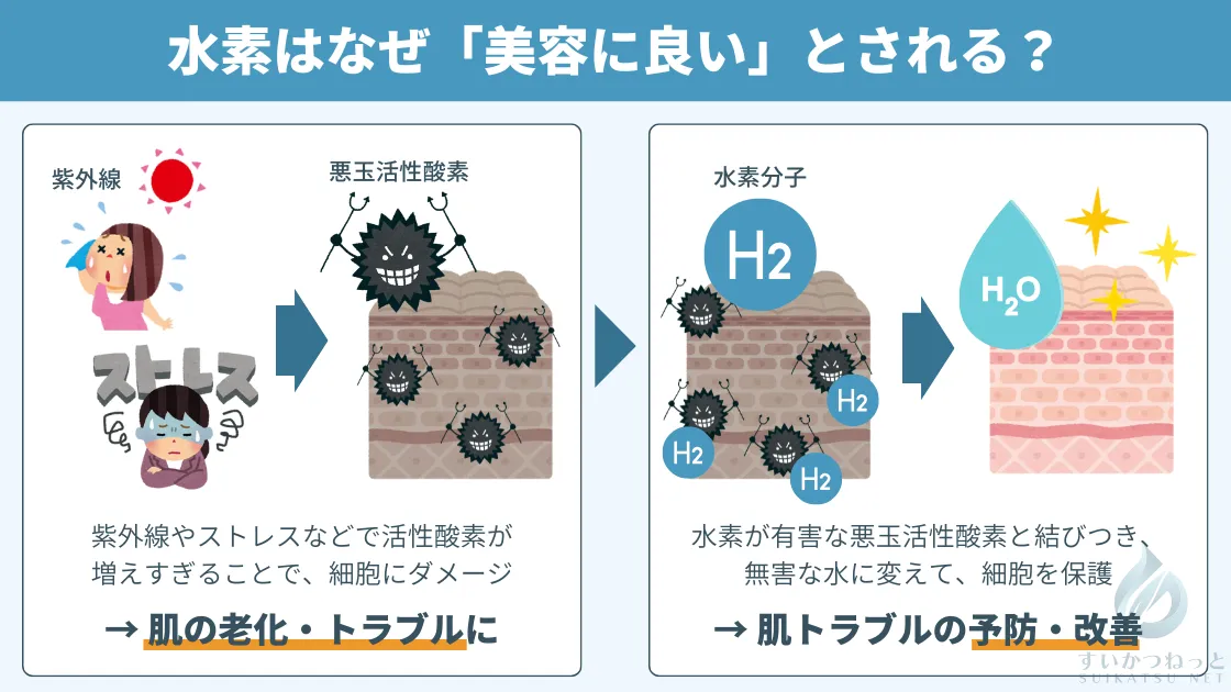水素が美容に良いとされるメカニズムの解説