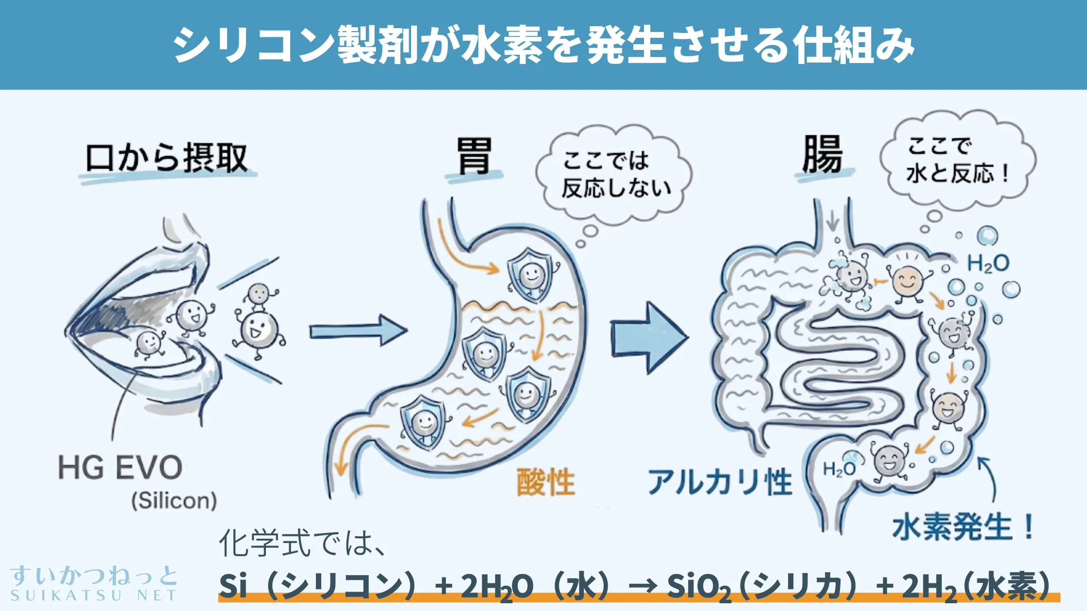 シリコン製剤が体内で水素を発生させる仕組み