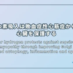 Molecular hydrogen protects against sepsis-induced cardiomyopathy through improving Golgi stress-mediated autophagy, inflammation and apoptosis（水素分子によるゴルジ体ストレスの抑制を介した敗血症性心筋症の保護効果）