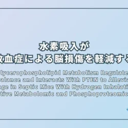 DGKζ in Glycerophospholipid Metabolism Regulates the DAG and PA Balance and Interacts With PTEN to Alleviate Brain Damage in Septic Mice With Hydrogen Inhalation: A Comparative Metabolomic and Phosphoproteomic Analysis(水素吸入によるグリセロリン脂質代謝の調節が敗血症マウスのDAGとPAのバランスを整え、PTENとの相互作用を介して脳損傷を軽減する:メタボロミクスおよびリン酸化プロテオミクスによる比較分析)
