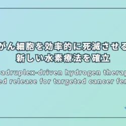 Nanoquadruplex-driven hydrogen therapy: NIR-controlled release for targeted cancer ferroptosis(ナノ四重奏体による水素療法:近赤外線で制御される放出が標的がん細胞のフェロトーシスを誘発する)