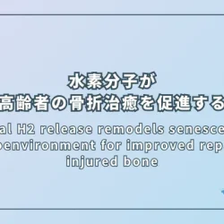 Local H2 release remodels senescence microenvironment for improved repair of injured bone（局所的な水素放出が老化微小環境を再構築し、損傷した高齢者の骨修復を改善する）