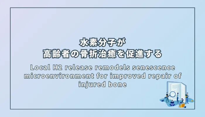 Local H2 release remodels senescence microenvironment for improved repair of injured bone（局所的な水素放出が老化微小環境を再構築し、損傷した高齢者の骨修復を改善する）