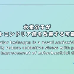 Molecular hydrogen is a novel antioxidant to efficiently reduce oxidative stress with potential for the improvement of mitochondrial diseases（水素分子は、ミトコンドリア病を改善する可能性を持つ、酸化ストレスを効率的に軽減する新しい抗酸化剤である）